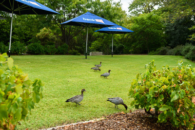 February 2021 / _85E2058