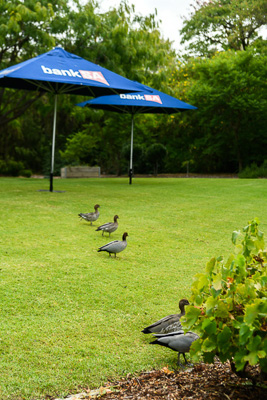 February 2021 / _85E2059