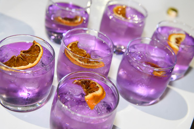 February 2021 / _85E2639