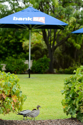 February 2021 / _D4P3554