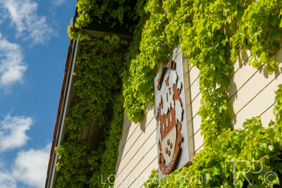 October 2021 / ELDERTON-CELLAR-DOOR-BAROSSA_009