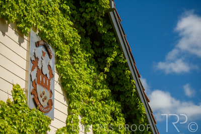 October 2021 / ELDERTON-CELLAR-DOOR-BAROSSA_011