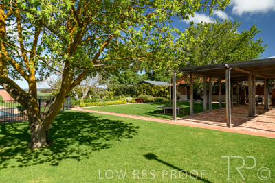 October 2021 / ELDERTON-CELLAR-DOOR-BAROSSA_013