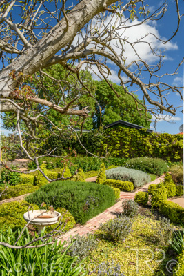 October 2021 / ELDERTON-CELLAR-DOOR-BAROSSA_022