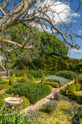 October 2021 / ELDERTON-CELLAR-DOOR-BAROSSA_023