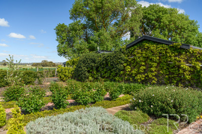 October 2021 / ELDERTON-CELLAR-DOOR-BAROSSA_024