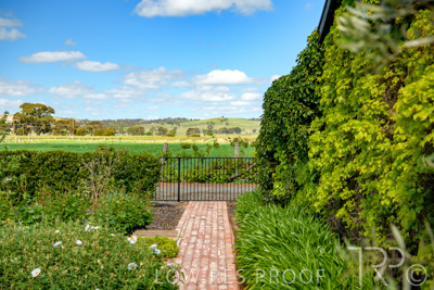October 2021 / ELDERTON-CELLAR-DOOR-BAROSSA_026