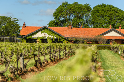 October 2021 / ELDERTON-CELLAR-DOOR-BAROSSA_070
