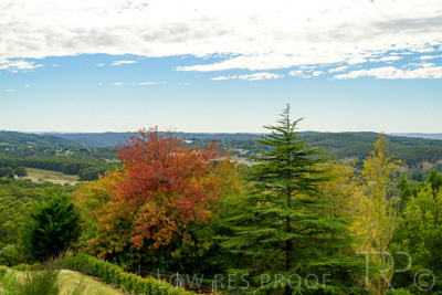 April 2022 / Mt_LOFTY-220405-079