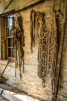 April 2022 / REILLY'S-220408-184