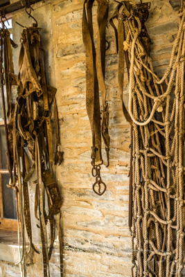 April 2022 / REILLY'S-220408-185