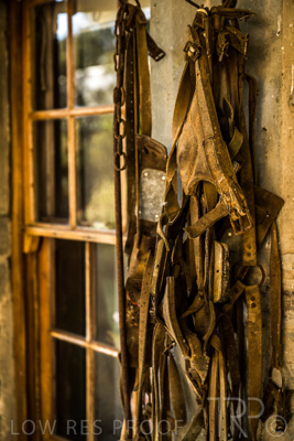 April 2022 / REILLY'S-220408-186