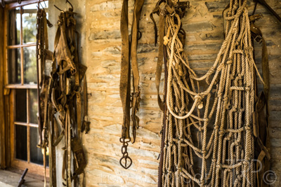 April 2022 / REILLY'S-220408-187