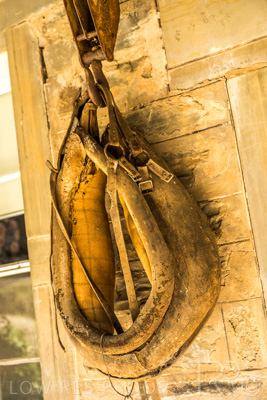 April 2022 / REILLY'S-220408-189