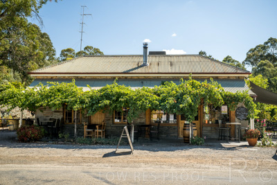 April 2022 / REILLY'S-220408-195