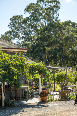 April 2022 / REILLY'S-220408-196