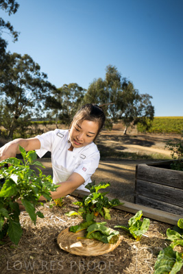 April 2022 / HENTLEY-FARM-220413-027