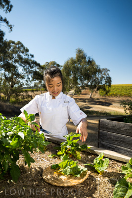 April 2022 / HENTLEY-FARM-220413-028