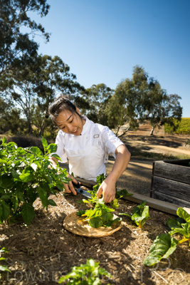 April 2022 / HENTLEY-FARM-220413-029