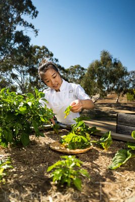 April 2022 / HENTLEY-FARM-220413-030