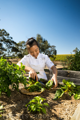 April 2022 / HENTLEY-FARM-220413-031