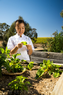 April 2022 / HENTLEY-FARM-220413-032