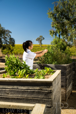 April 2022 / HENTLEY-FARM-220413-035