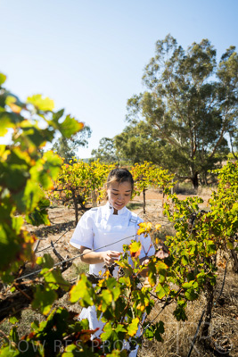 April 2022 / HENTLEY-FARM-220413-045