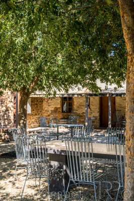 April 2022 / HENTLEY-FARM-220413-094