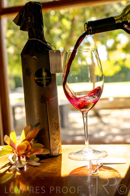 April 2022 / HENTLEY-FARM-220413-121