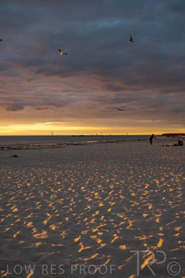 April 2022 / PHT-Peter-WRIGHT-220421-115