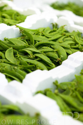 October 2022 / SA-Produce-Market-221031-50