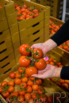 October 2022 / SA-Produce-Market-221031-92