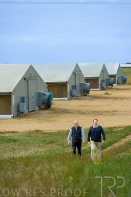 November 2022 / Glenellen_002