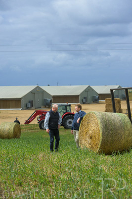 November 2022 / Glenellen_045