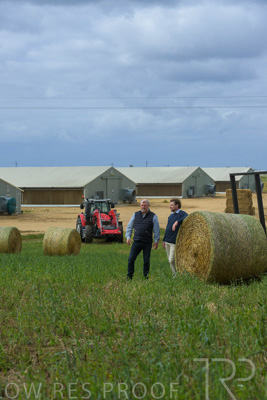 November 2022 / Glenellen_051