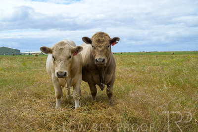 November 2022 / Glenellen_079