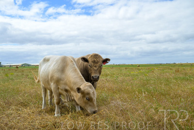 November 2022 / Glenellen_080