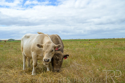 November 2022 / Glenellen_081