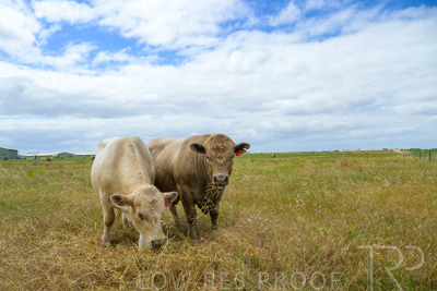 November 2022 / Glenellen_083