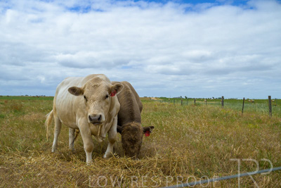 November 2022 / Glenellen_092