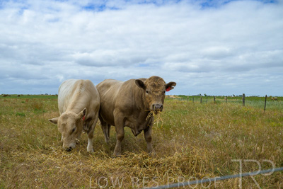 November 2022 / Glenellen_093