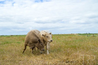 November 2022 / Glenellen_094