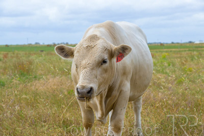 November 2022 / Glenellen_103