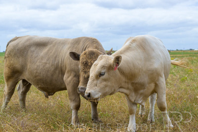 November 2022 / Glenellen_105