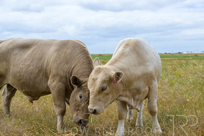 November 2022 / Glenellen_106