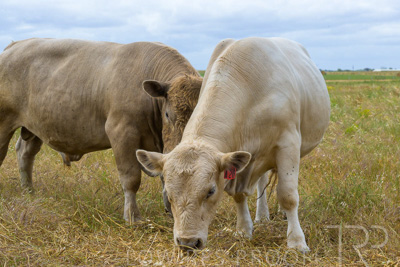 November 2022 / Glenellen_107