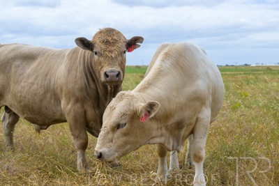 November 2022 / Glenellen_109