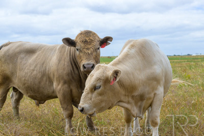 November 2022 / Glenellen_110