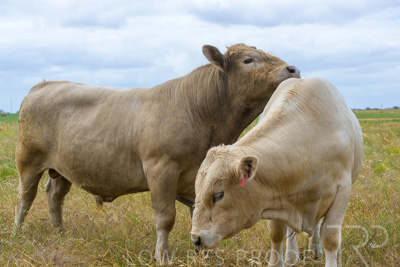 November 2022 / Glenellen_111